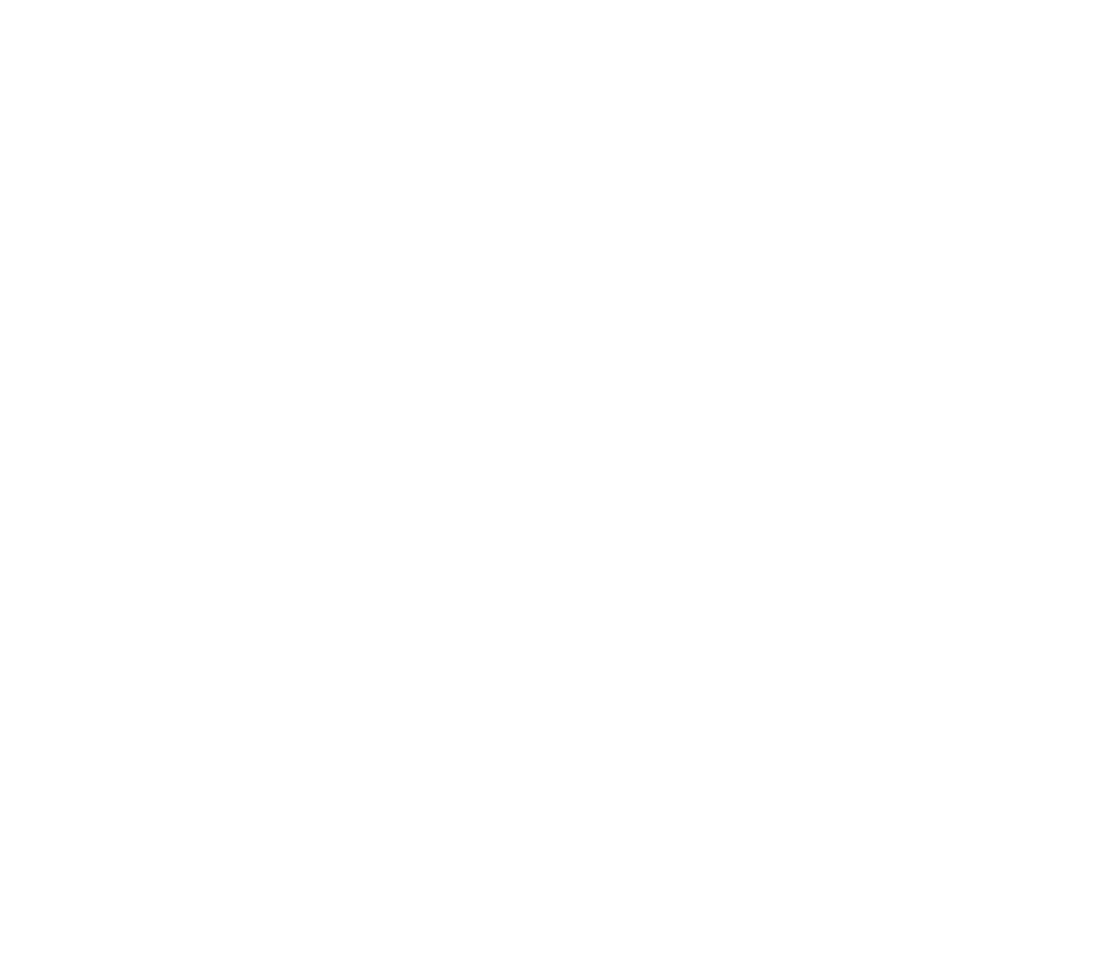 Minnt Logo Weiss